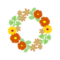 Need Wedding Need Wedding