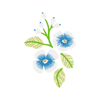 Needlework Wedding Needlework Wedding