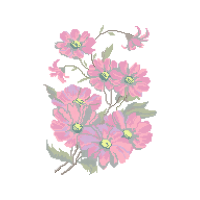 Needlework Wedding Needlework Wedding