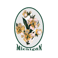 Needlework Wedding Needlework Wedding