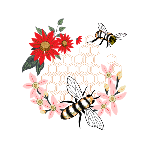 Net Winged Insects Wedding Net Winged Insects Wedding