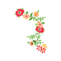 Nord Wedding Nord Wedding