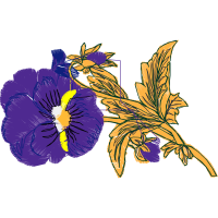 Northern Blue Flag Wedding Northern Blue Flag Wedding