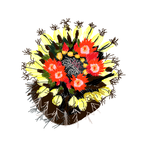 Orange Wedding Orange Wedding