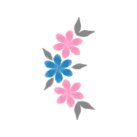 Orchids Wedding Orchids Wedding