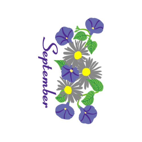 Orchids Wedding Orchids Wedding