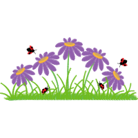 Orchids Wedding Orchids Wedding