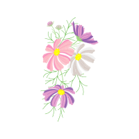 Orchids Wedding Orchids Wedding