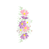 Orchids Wedding Orchids Wedding