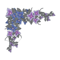 Orchids Wedding Orchids Wedding