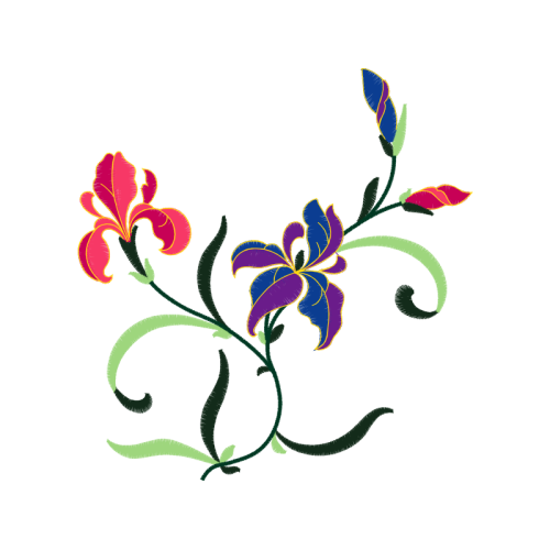 Orchids Wedding Orchids Wedding