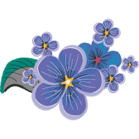 Orchids Wedding Orchids Wedding