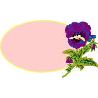 Orchids Wedding Orchids Wedding