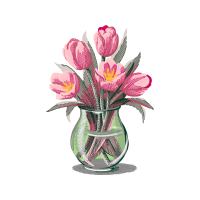 Orchids Wedding Orchids Wedding