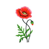 Oriental Poppy Wedding