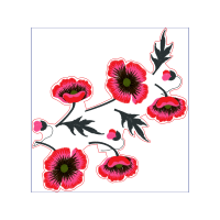 Oriental Poppy Wedding