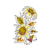 Oxeye Daisy Wedding Oxeye Daisy Wedding