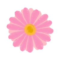 Oxeye Daisy Wedding Oxeye Daisy Wedding