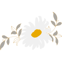 Oxeye Daisy Wedding Oxeye Daisy Wedding