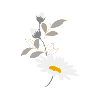 Oxeye Daisy Wedding Oxeye Daisy Wedding