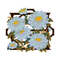 Oxeye Daisy Wedding Oxeye Daisy Wedding