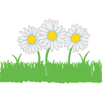 Oxeye Daisy Wedding Oxeye Daisy Wedding