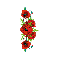 Party Wedding Party Wedding