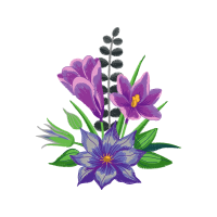 Pasqueflower Wedding Pasqueflower Wedding