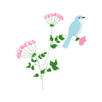 Passerine Wedding Passerine Wedding