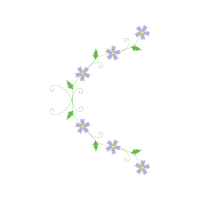 Passion Flowers Wedding Passion Flowers Wedding