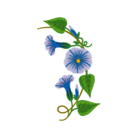 Passion Flowers Wedding Passion Flowers Wedding