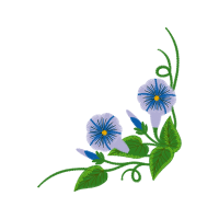 Passion Flowers Wedding Passion Flowers Wedding