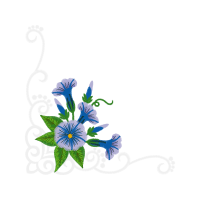 Passion Flowers Wedding