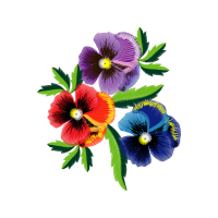 Passion Flowers Wedding Passion Flowers Wedding