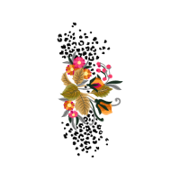 Peacock Butterfly Wedding Peacock Butterfly Wedding