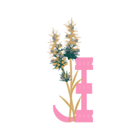 Pedicel Wedding Pedicel Wedding