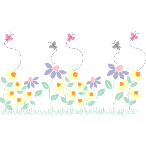 Phalaenopsis Sanderiana Wedding Phalaenopsis Sanderiana Wedding