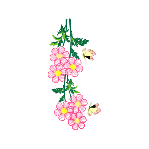 Pieridae Wedding Pieridae Wedding