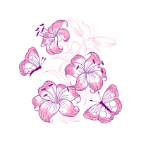 Pieridae Wedding Pieridae Wedding