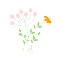 Pincushion Flower Wedding