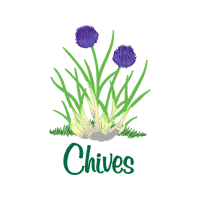 Pincushion Flower Wedding