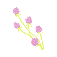 Pincushion Flower Wedding