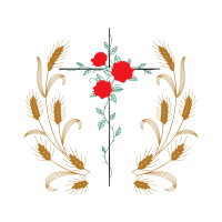 Pink Wedding Pink Wedding