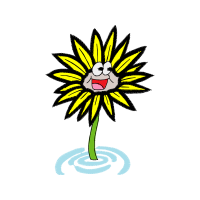 Portable Network Graphics Wedding