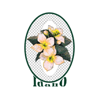 Portable Network Graphics Wedding Portable Network Graphics Wedding