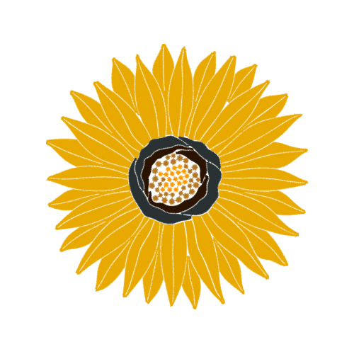 Portable Network Graphics Wedding Portable Network Graphics Wedding