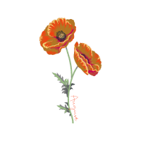 Pot Marigold Wedding