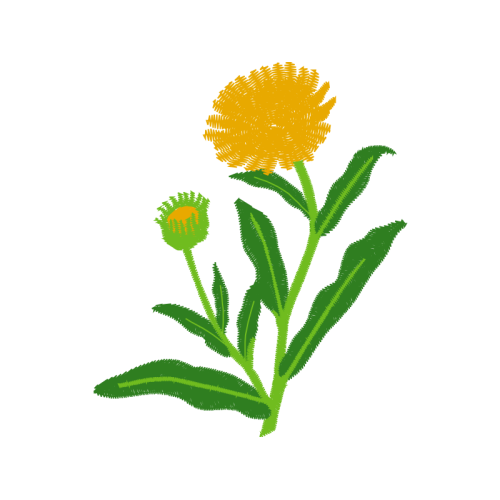 Pot Marigold Wedding Pot Marigold Wedding