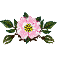 Prairie Rose Wedding