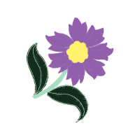 Prairie Rose Wedding